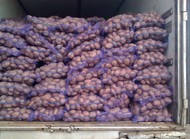 Картофель урожая 2023 продаем в Мценске