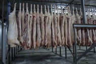 Свинина полутуши со склада мясоперерабатывающего завода