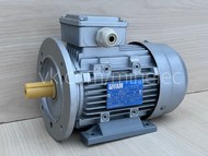 Электродвигатель FAM Италия, тип BH90LA 2 B35, 2.2 кВт, 2840 об/мин (2,2 квт 3000 оборотов в минуту)
