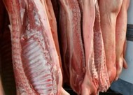 Свинина  оптом от производителя 170 руб/кг