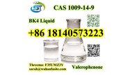 Factory Supply BK4 Liquid Valerophenone CAS 1009-14-9 With Safe and Fast Delivery