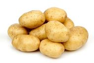 Картофель оптом продовольственный от производителя