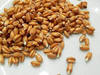 Пшеница продовольственная и фуражная оптом