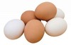 Куриное яйцо оптовая продажа  в Великом Новгороде  