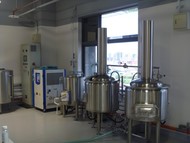Минипивоварня(домашняя пивоварня) на 100 литров в сутки  , имеет сертификат CE и ISO