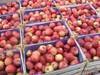 Яблоки из Молдавии оптом в Москве