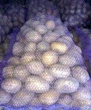 Мадейра молодой картофель оптом от производителя КФХ