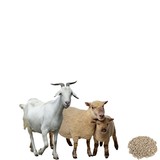 Комбикорм для коз и овец ОК-80 30 кг