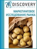 Анализ рынка картофеля в России (с предоставлением базы импортно-экспортных операций)