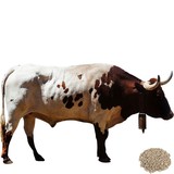 Комбикорм для коров в пастбищный период К-65, 40 кг, КИРОВА