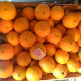 Апельсины (Абхазия)