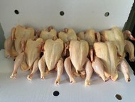 Мясо кур-тушки цыплят бройлеров