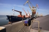 Стивидорные услуги в морском порту Николаев / Stevedoring services at the port of Nikolaev