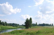 Участок "Река Гороховка" 30,06 га. Сельхоз. Выборгский район.