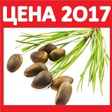 Продажа ядро кедровое оптом урожай 2017 г. Кедровые орехи на экспорт с лицензией