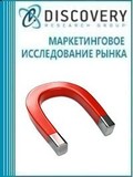 Анализ рынка постоянных магнитов и магнитотвердых материалов в России