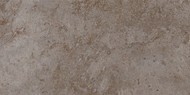 Плитка настенная Тянь-Шань Керамик Бианор Серый 30x60 см (TP3619BM)
