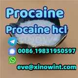 Chemical Powder CAS: 59-46-1 Supply Procaine in Stock