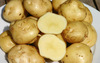Картофель Египетский урожай 2011 года, оптом 