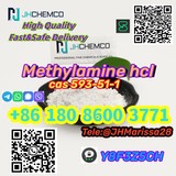 Best Sale CAS 593-51-1 Methylamine hydrochloride   Threema: Y8F3Z5CH		t