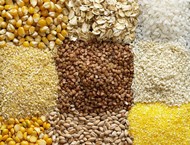 Продаем оптом пшеницу, ячмень, кукурузу, горох, семечку и овес