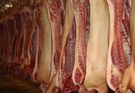 Мясо говядина, свинина оптом от производителя