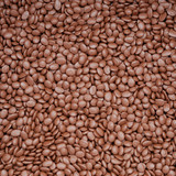 Мастербатч коричневый (POLYCOLOR  BROWN 04028)