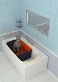 Вкладыш в ванну для мытья собак "Мойджек"