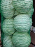 Продаем капусту мелким оптом со склада  отгрузка от 100 кг