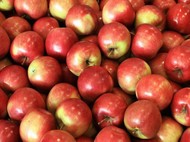 Яблоко оптом Айдаред (1/2 сорт), упаковка – коробка или сетка из Белоруссии