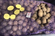 Картофель оптом из Красноярского края урожай 2020 г