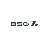 Компания BSG