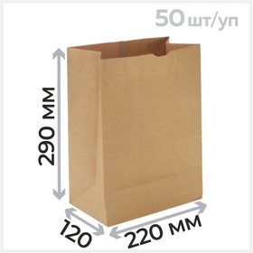Бумажный крафт пакет без ручек, 50 г/м2, 22*12*29 см Циркон