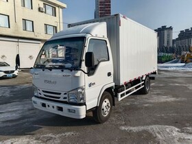 Промтоварный фургон Isuzu Elf