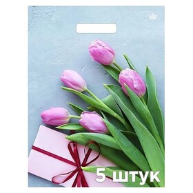 Пакет подарочный глянцевый «Тюльпаны в подарок», 400х310 мм, с вырубной ручкой Циркон