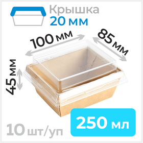 Пищевые контейнеры 250 мл с крышкой 20 мм, 85х100 мм, крафт, 10 шт Циркон