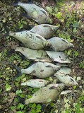 Рыбалка в условиях Дикой Природы на Оке в Калужской области