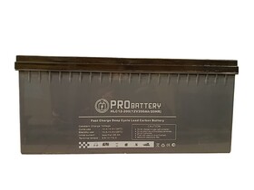 Аккумулятор тяговый PROBATTERY HLC12-200