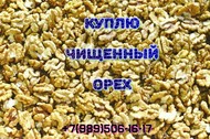 Куплю орех грецкий