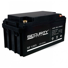 Аккумулятор SF 1265 Security Force 12В 65Ач