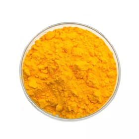 Куркумин Biosolve curcumin