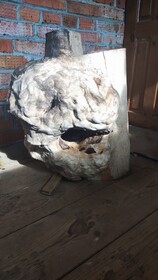 Каповая береза сухая для творчества.