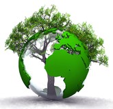 Нефинансовая экологическая отчетность