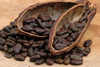 Какао-бобы, сорт Форастеро (Страна Гана) продаем 