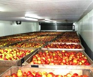 Монтаж овощехранилищ,фруктохранилищ.Подбор холодильного оборудования.Крым