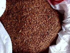 Лён коричневый из Казахстана (экспорт в страны Азии и ЕС)