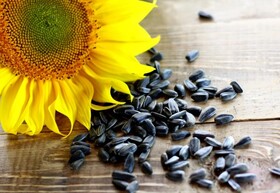 Подсолнечник из Казахстана (экспорт в страны Азии и ЕС)