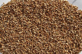 Coriander halves