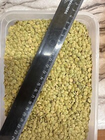Green Lentil FOB Black sea
