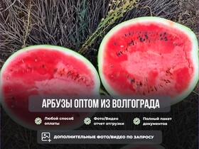 Арбузы оптом от фермера Волгоград.